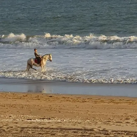 Lägenhet Vue Mer, 4 Pers - Ideal Famille