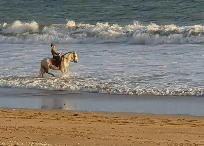 公寓 Vue Mer, 4 Pers - Ideal Famille