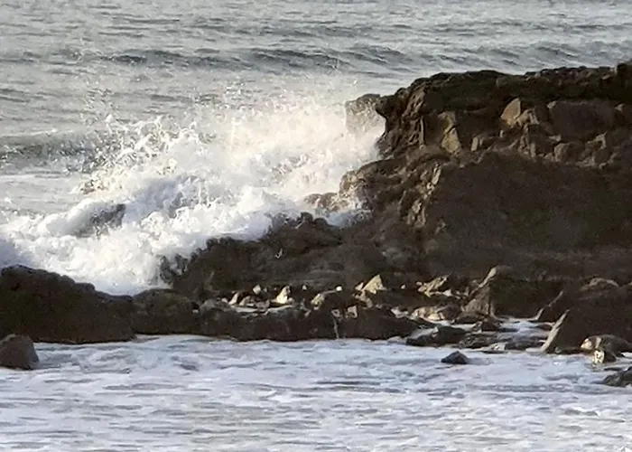 Vue Mer, 4 Pers - Ideal Famille 公寓 *